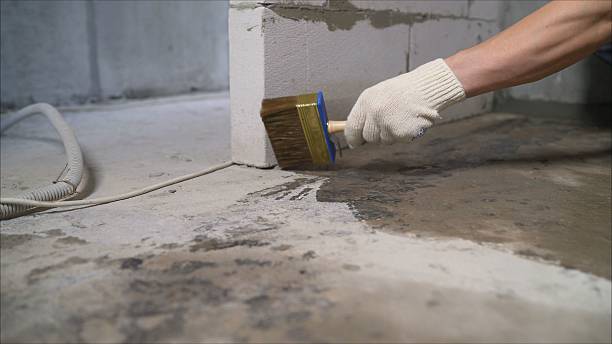 SJ Waterproofing Pros Waterproofing coverage map for Benedict, MD and surrounding area